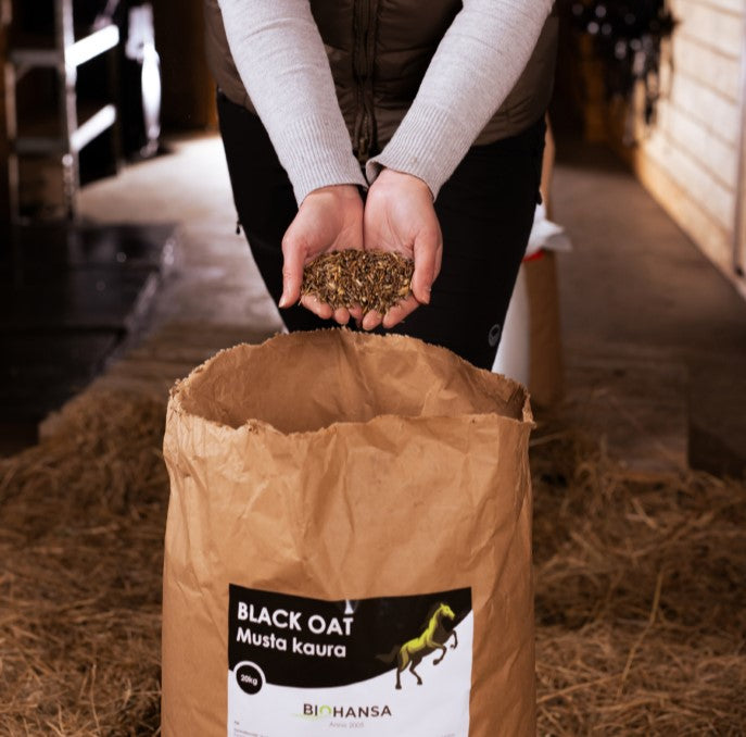 MUSTA KAURA 20kg x 50 SÄKKIÄ ”Black Oat”