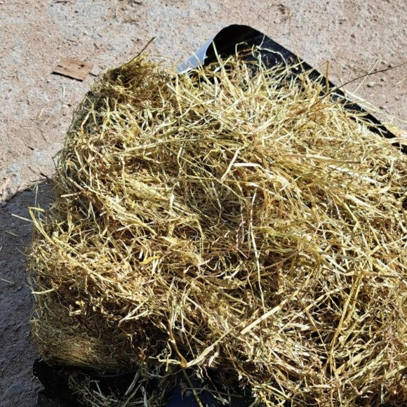 SILOHEIN 20KG x 50 TK "Pro Haylage"